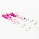 BIGODINI ORSETTI_02 QUADRATA.webp