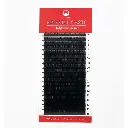 expert lash aperte.webp