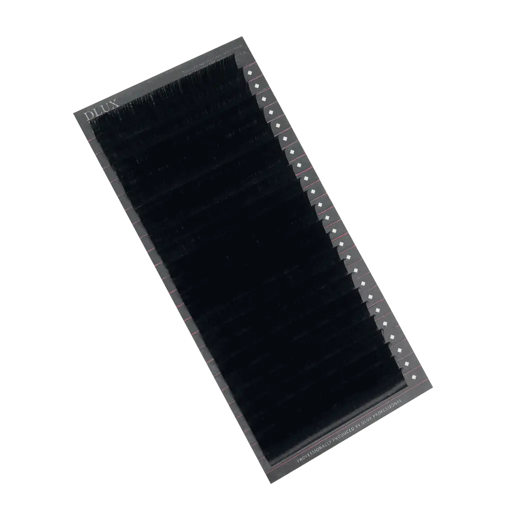 24 linee dlux02.webp