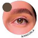 TINTA LIQUIDA_MANDORLA.webp