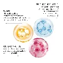 adv Step 1 DLux_01.webp