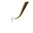 DETTAGLIO YY U VOLUME 3D CC0085.webp